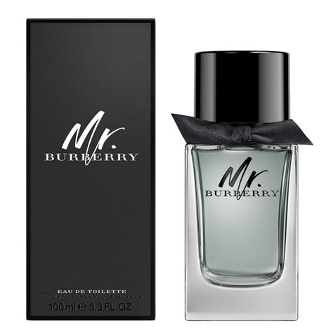 burberry for men by mr. burberry|burberry mr burberry edt 100ml.